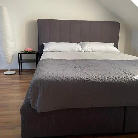 Apartament Geraeumige 3-zimmer-ferienwohnung Im Herzen Von Kassel