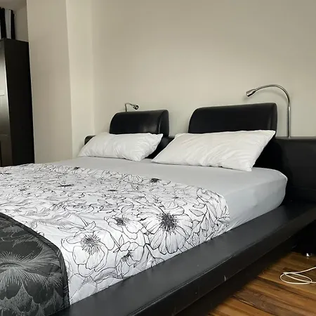 Geraeumige 3-zimmer-ferienwohnung Im Herzen Von Apartment