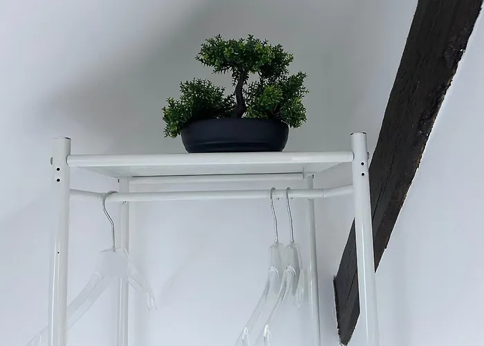 Geraeumige 3-zimmer-ferienwohnung Im Herzen Von *